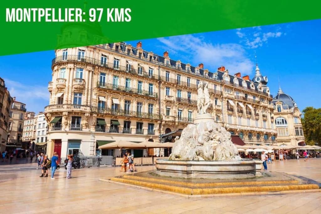 L'Olivier - 2 Terrasses - Clim Ac - Wifi - Proche Theatres Daire Avinyon Dış mekan fotoğraf